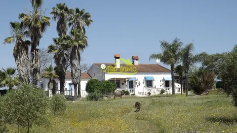 FINCA RUSTICA CON VIVIENDAS (GIBRALEON)