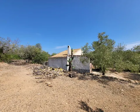 Finca Rústica con caseta de campo y pequeño almacén, a 3,5 km de la playa