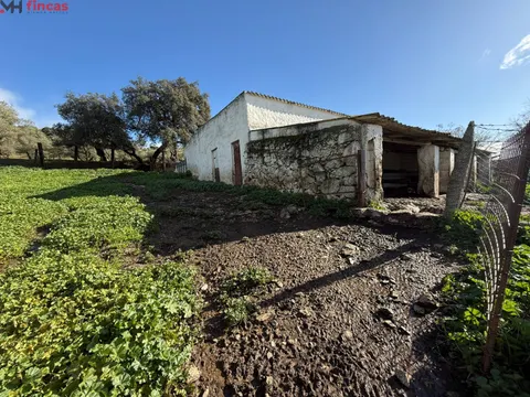 🌿🏡 ¡Impresionante Finca en Venta en El Pedroso, Sevilla! 🐑🌳