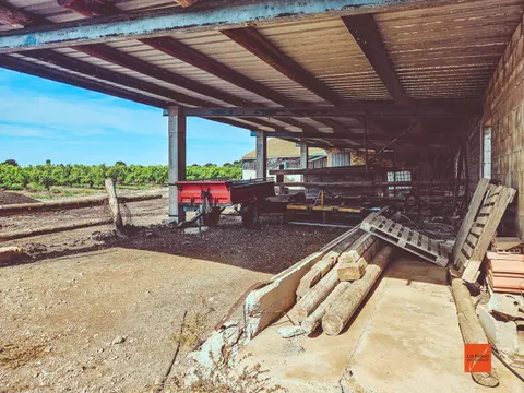 FINCA RUSTICA CON NAVE AGRICOLA EN VENTA EN SANTA BARBARA (TARRAGONA)