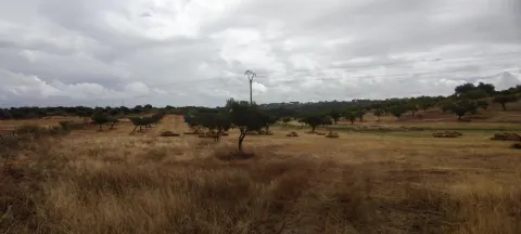 Finca rústica de 61900 m2