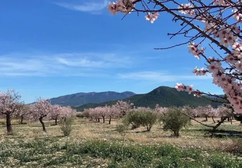 ESPECTACULAR FINCA EN VÉLEZ RUBIO