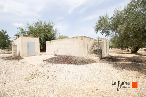 FINCA DE REGADIO EN VENTA EN SANTA BARBARA (TARRAGONA)