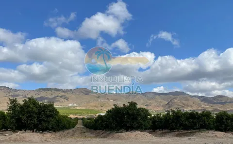 GRAN TERRENO RUSTICO EDIFICABLE DE 20.000 M2 - ref 1044