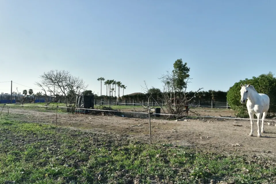 FINCA RÚSTICA EN LA JARA