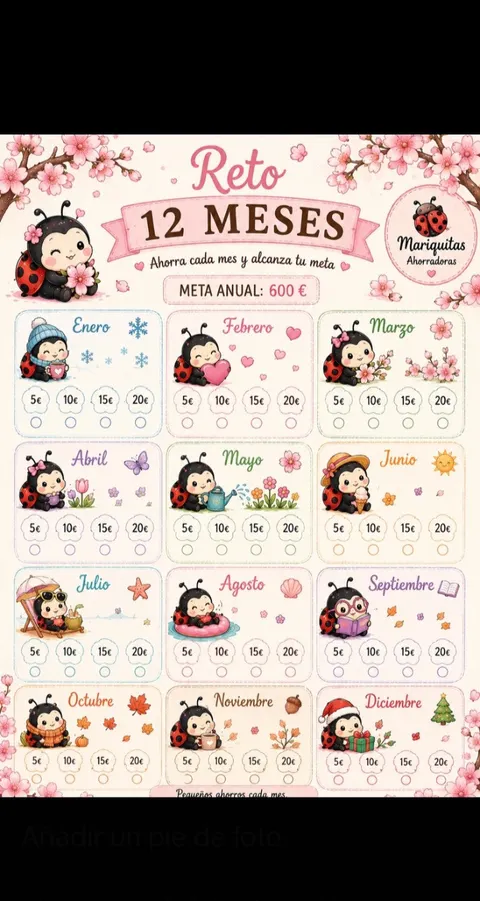 Reto de ahorro  12 meses