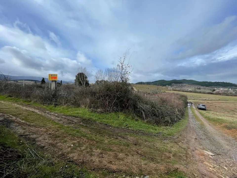 VENTA FINCA RÚSTICA EN SAN LORENZO