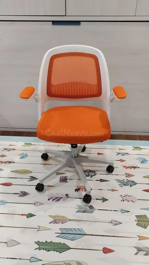 Silla de estudio (exposición)