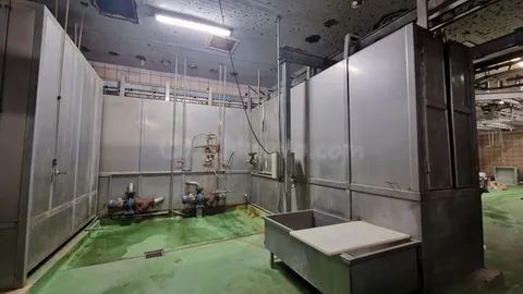 Equipo profesional escaldado por inmersión cerdos acero inoxidable