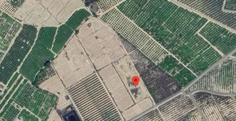 Finca Agrícola - Librilla