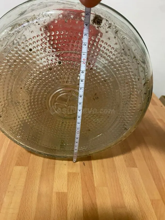 Gran bote de cristal de 18 L para conservas – Malgrat de Mar - foto 5