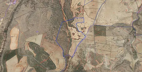FINCAS EN LA ZONA DE MESAGOSO
