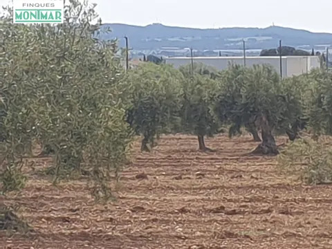 En venta Finca Rústica en Sant Jaume dels Domenys.