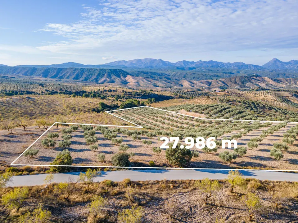 FINCA DE OLIVOS EN JAYENA