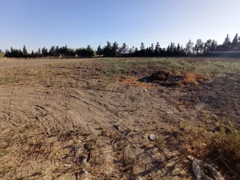 PARCELA RUSTICA DE 2.500 M2 EN VENTA EN CHIPIONA