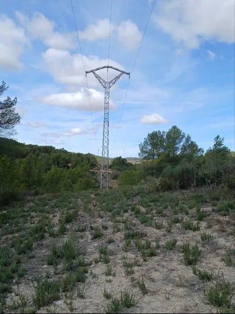 FINCA RÑSTICA DE 81.401 M2 EN CORBERA DÂ´EBRO