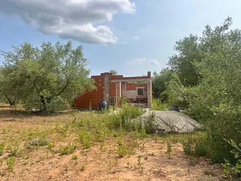 FINCA RUSTICA  EN FREGINALS DE 3 JORNALES DE OLIVOS