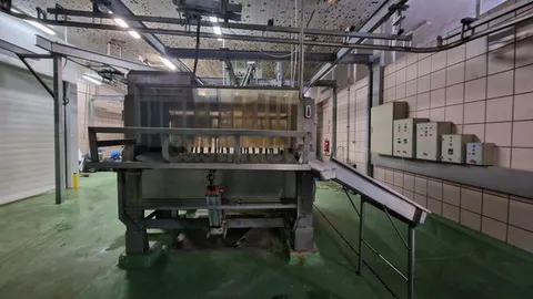 Peladora de porcino industrial en Madrid - Alta capacidad