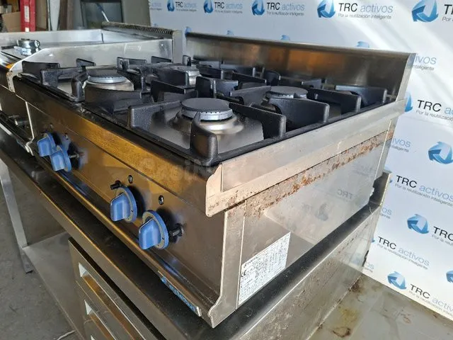 Cocina de gas profesional 4 quemadores EDESA SCG80 para host - foto 4
