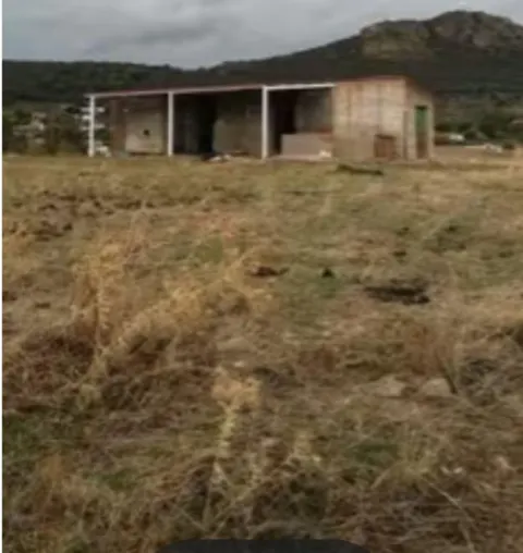 25000 m2 Terreno con nave
