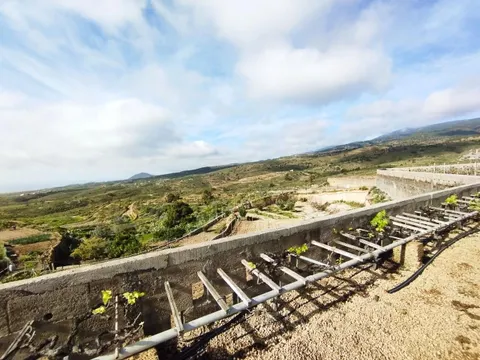 Finca con producción de vino con lagar en el Río de Arico