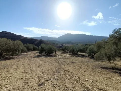 FINCA RUSTICA CERCA DE ANTEQUERA