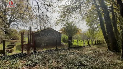 FINCA RÚSTICA DE 6.000 M2 CON GALPÓN Y POZO EN COLES (OURENSE)