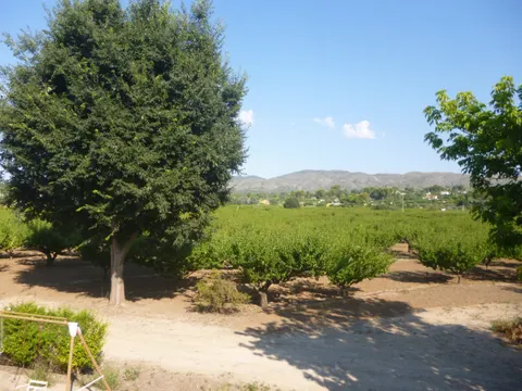 Finca cercana al casco urbano - Ontinyent