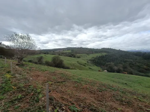 CONJUNTO DE FINCAS RUSTICAS EN RUILOBA; MÁS DE 2,1 Ha EN ENTORNO NATURAL.-