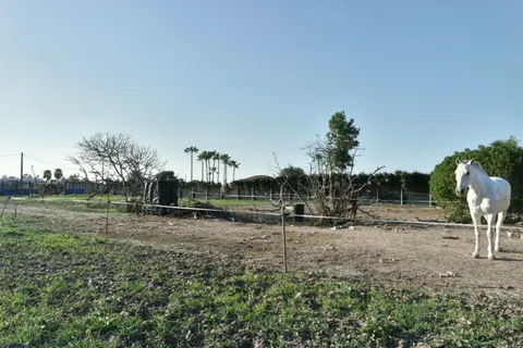 FINCA RÚSTICA EN LA JARA