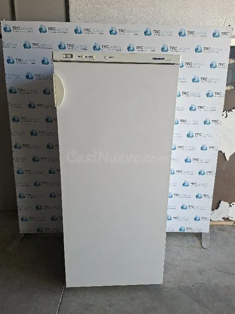 Congelador vertical Liebherr blanco en L'Aldea - Ideal para hogar