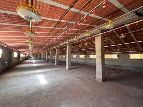 NAVE INDUSTRIAL EN ALCUBLAS, PRÓXIMO A POBLACION