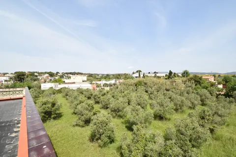 Finca de olivos con casa en venta, al lado del núcleo urbano