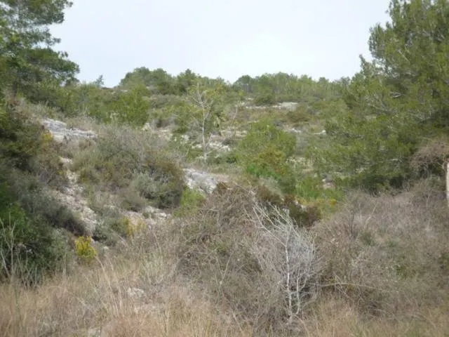 Finca rústica en venta