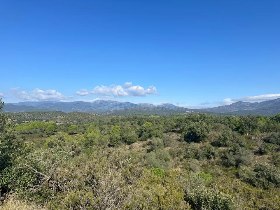 Oportunidad en el Alt Empordà: finca con pozo propio y panorámicas incomparables