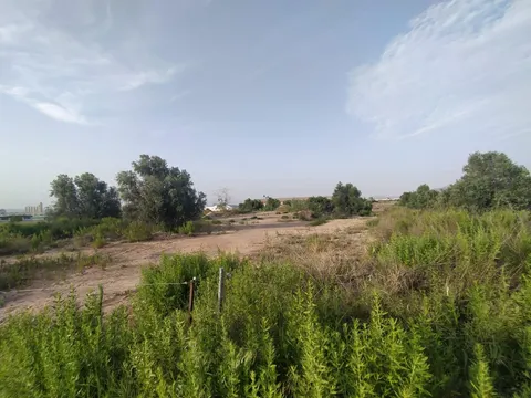 Parcela rustica-industrial zona del Mayayo en El Palmar.