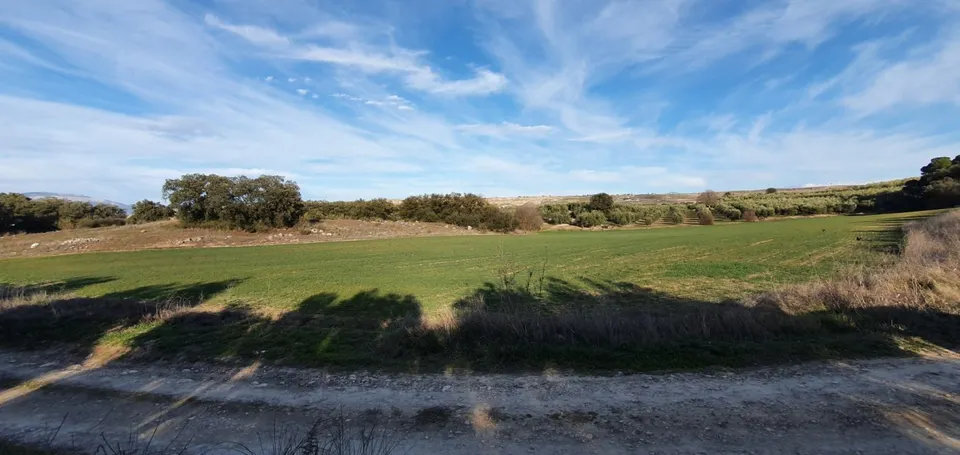 ESTUPENDA FINCA RUSTICA EN MORALEDA DE ZAFAYONA