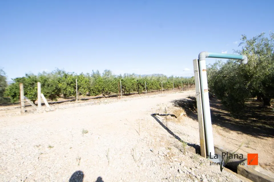 FINCA DE REGADIO EN VENTA EN LES COVES, SANTA BARBARA (TARRAGONA)