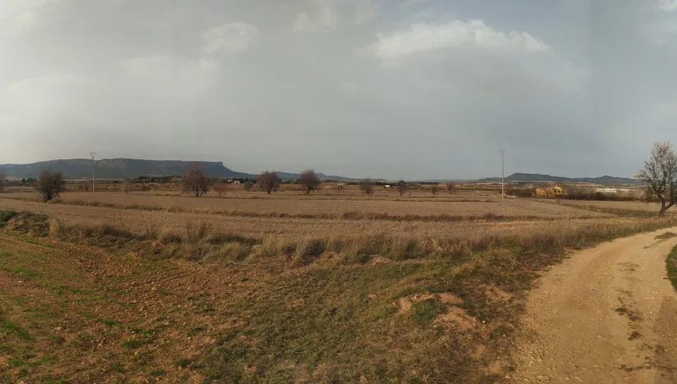 GRAN OCASION-PARCELA RUSTICA  DE 18.000 METROS MUY CERCA DE ALMANSA