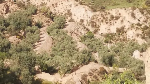 Finca rustica en el Valle de Lecrín