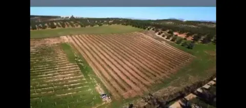 FINCA EN EL CORAZON DE ANDALUCIA SALE A LA VENTA¡¡¡¡¡¡¡¡¡¡¡¡¡¡