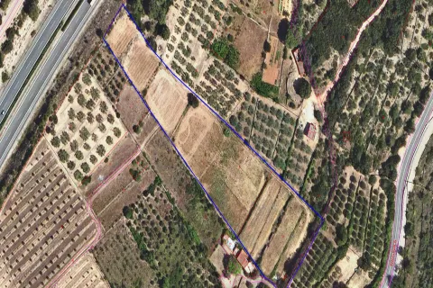 Finca rústica en Freginals, con agua y luz, a un paso del pueblo