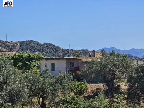 Finca de 25,5 hectáreas a tan solo 20 minutos en coche del centro de Málaga: naturaleza, inversión y múltiples posibilidades