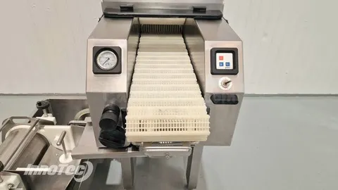 Máquina inyectora de carnes profesional - Oportunidad en España