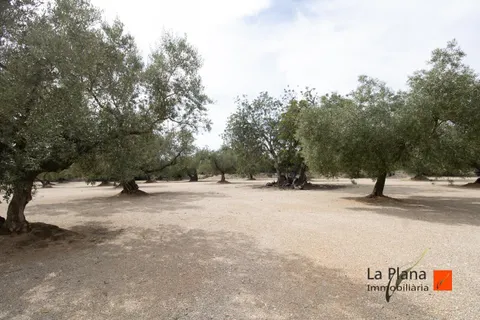 FINCA RUSTICA "LES COVES" CON CASETA EN VENTA EN LA GALERA (TARRAGONA)