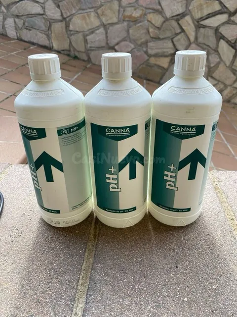 Aumentador de pH para piscinas y huertos – 3 litros en Malgrat de Mar