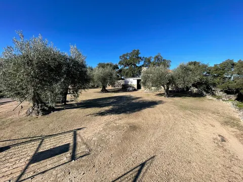 TERRENO RUSTICO CON CONSTRUCCIÓN 25M EN MONTÁNCHEZ
