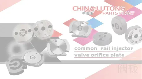 Lutong Common Rail Injector Valve Diésel