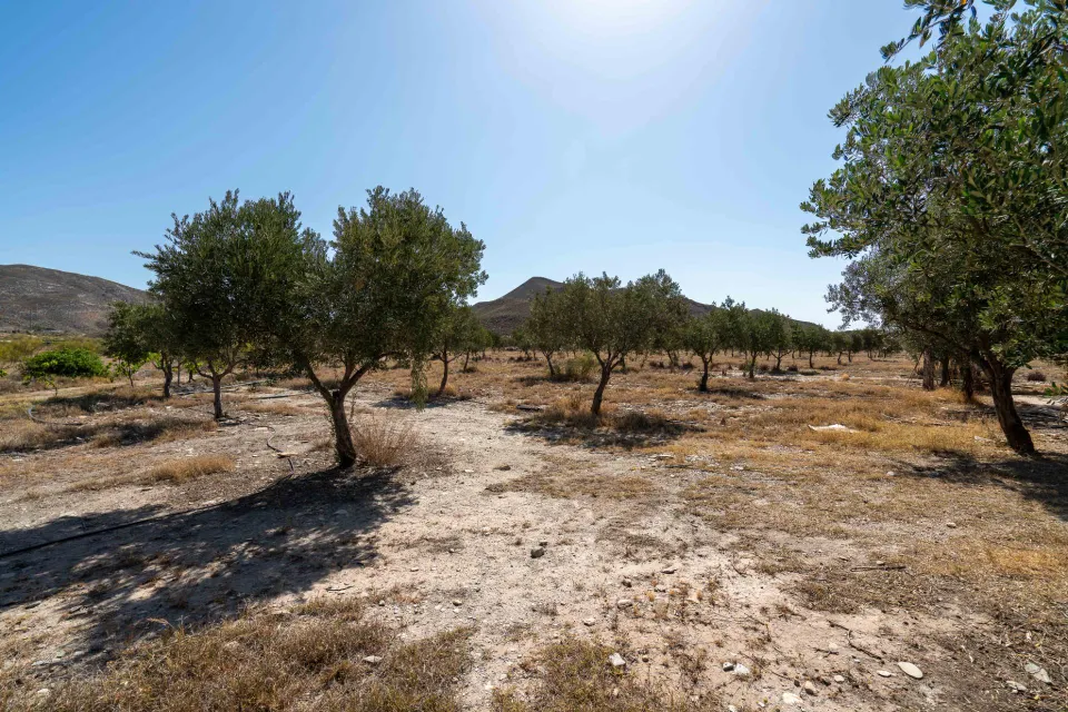 Finca de 18 Hectáreas en Tabernas