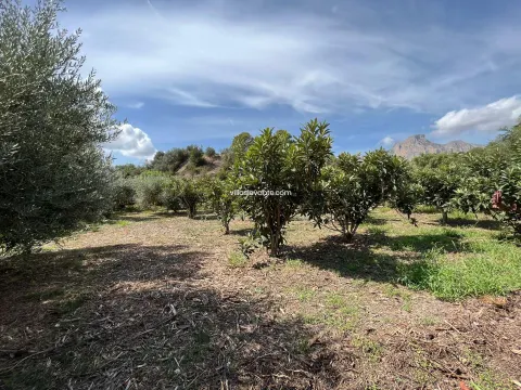 FINCA RUSTICA PARA USO AGRARIO